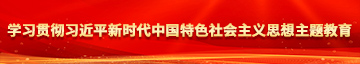 插进美女逼逼学习贯彻习近平新时代中国特色社会主义思想主题教育